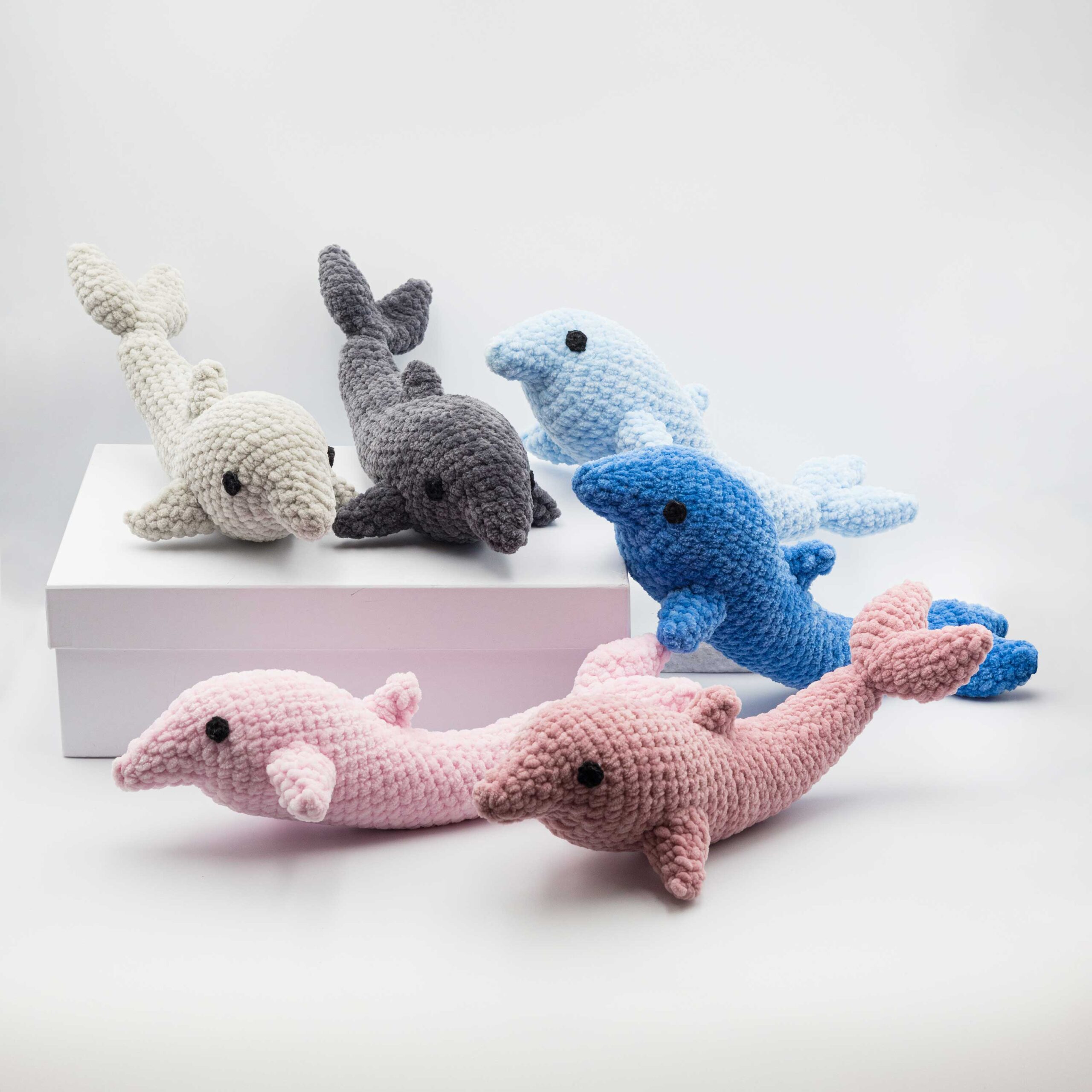 Αίολος, το δελφίνι